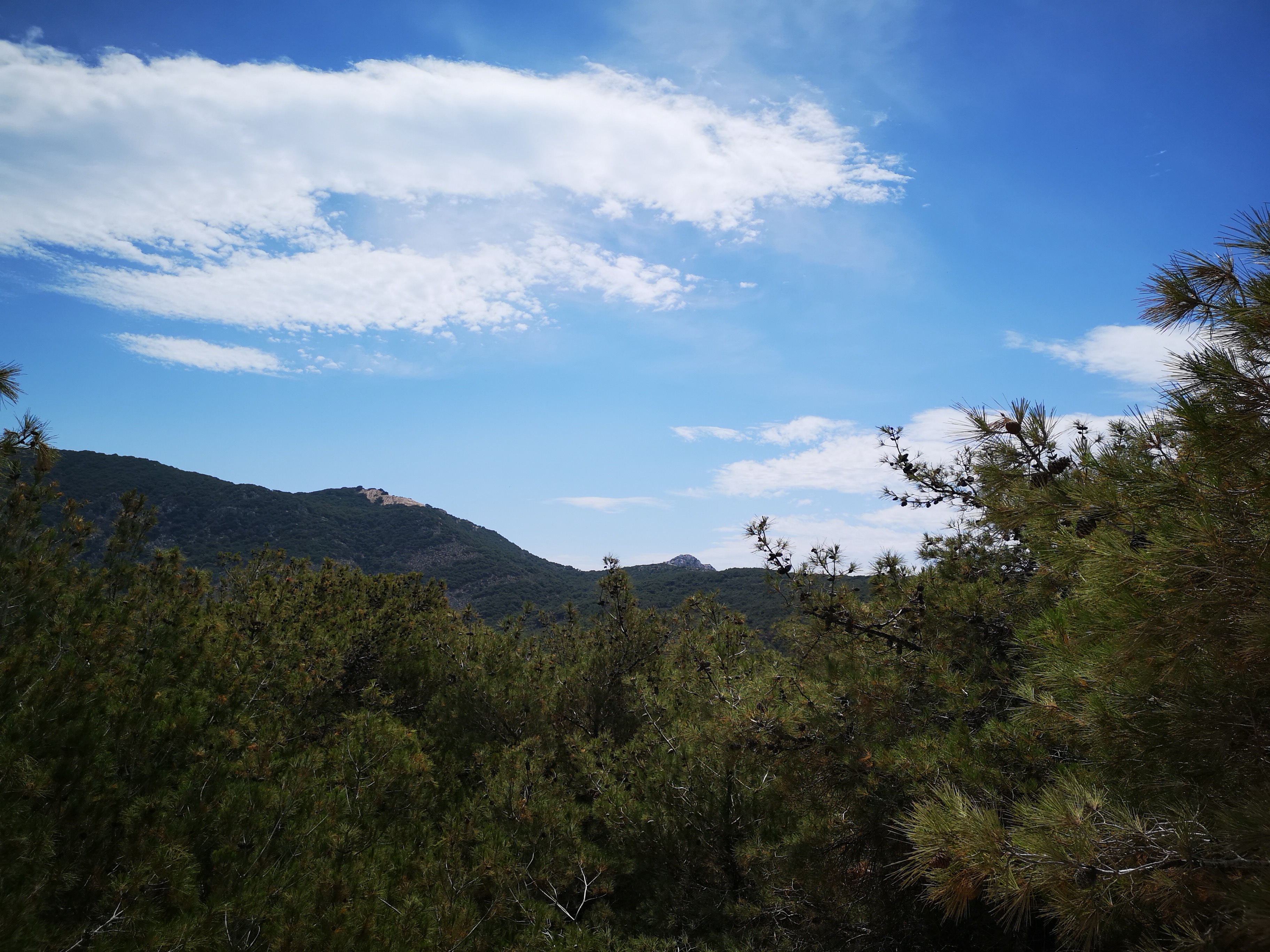 Kefalos