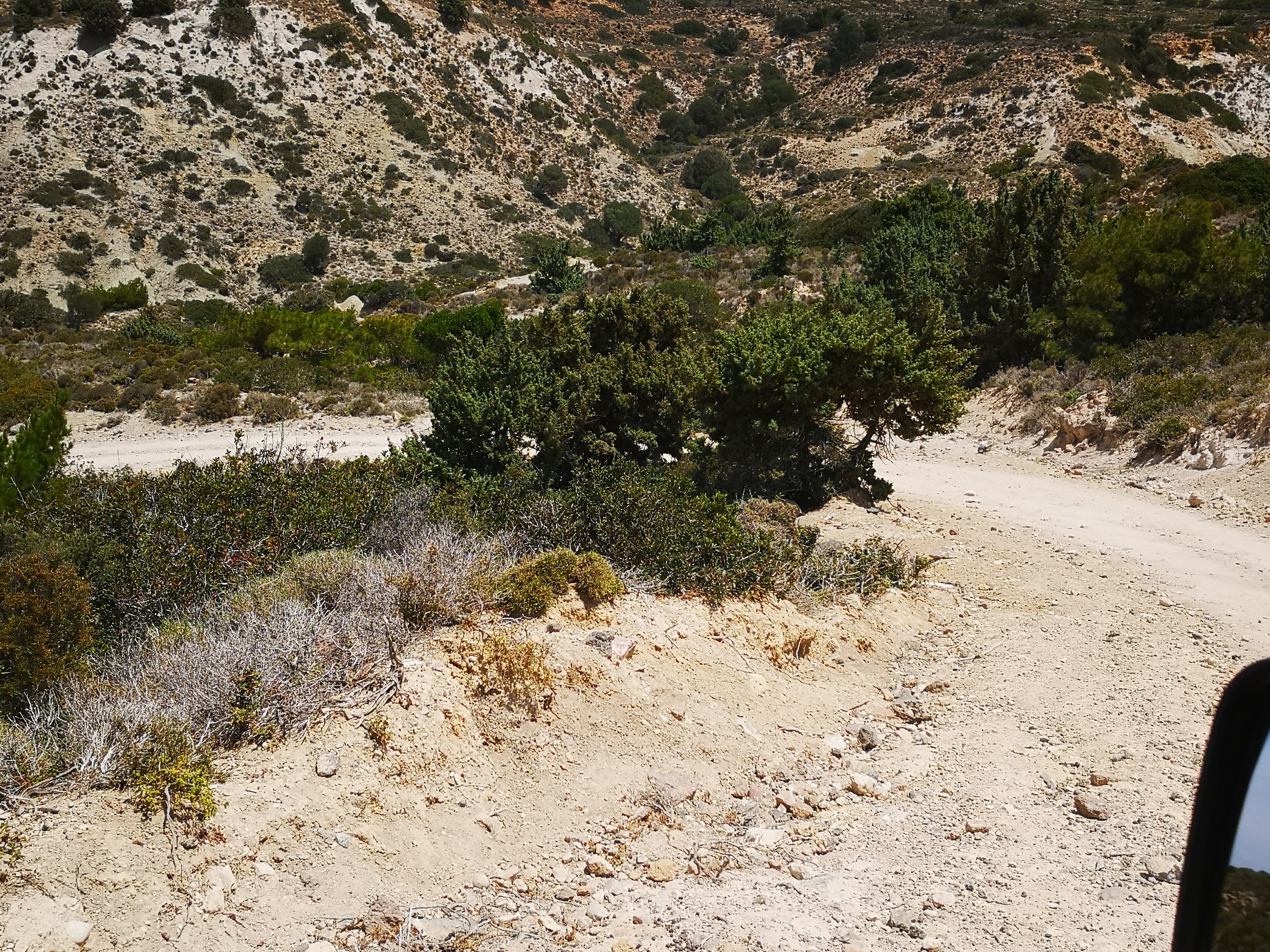 Kefalos