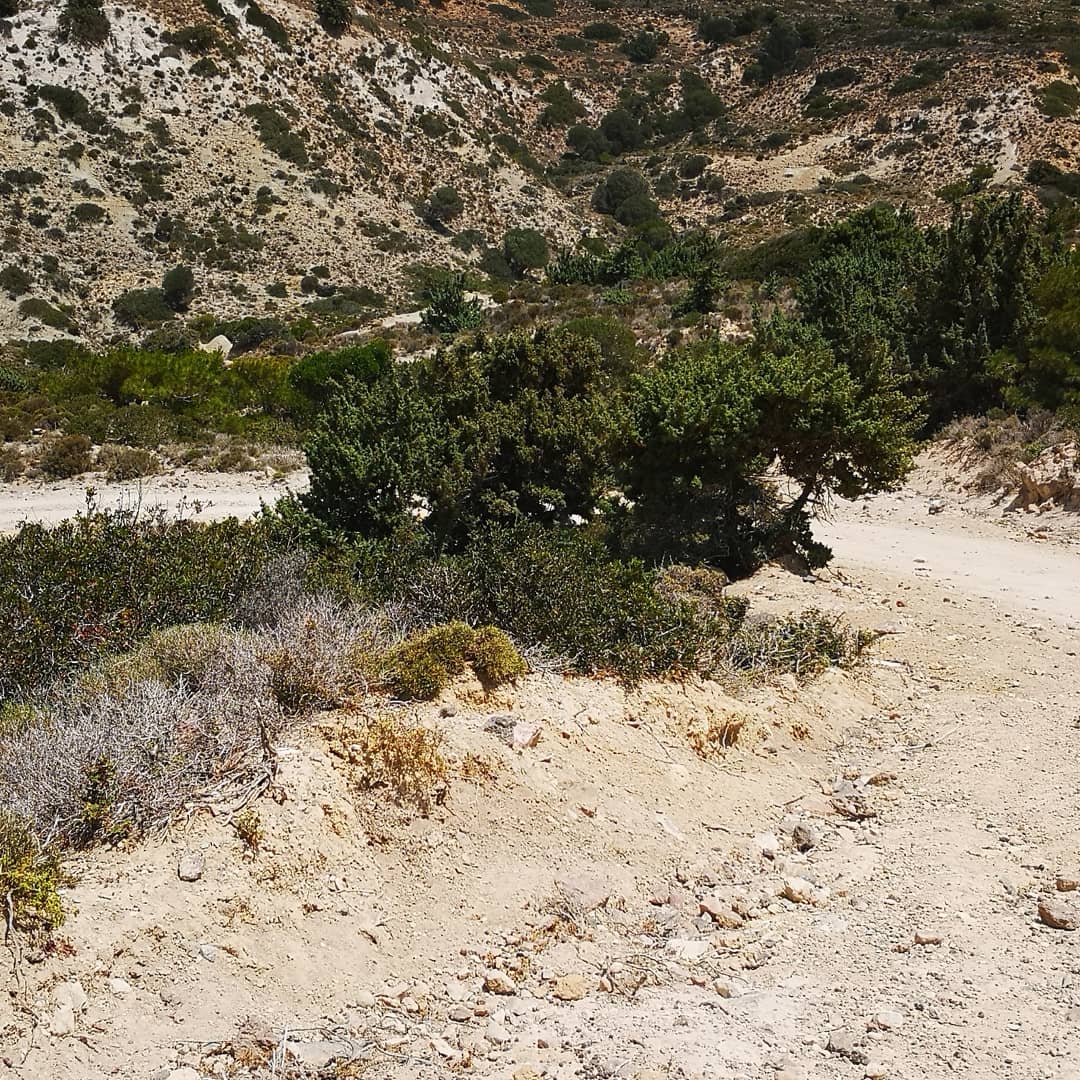 Kefalos