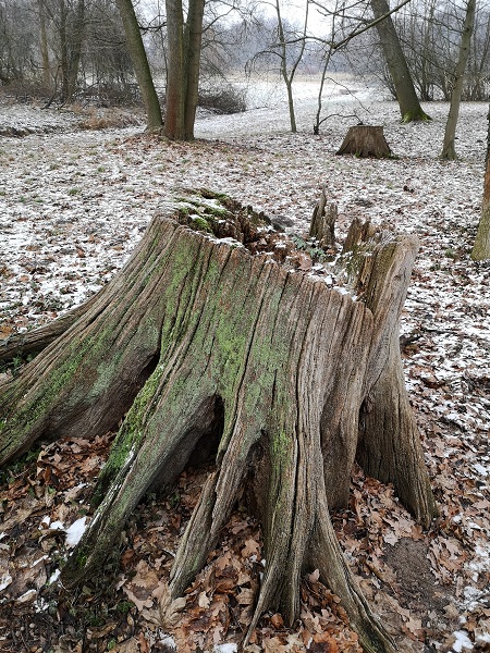 Lenné-Park