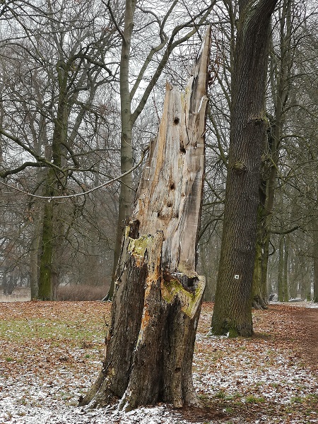 Lenné-Park