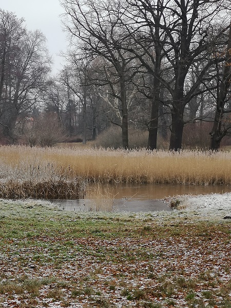 Lenné-Park