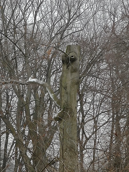 Lenné-Park