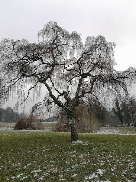 Lenné-Park