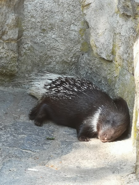Ostersonntag