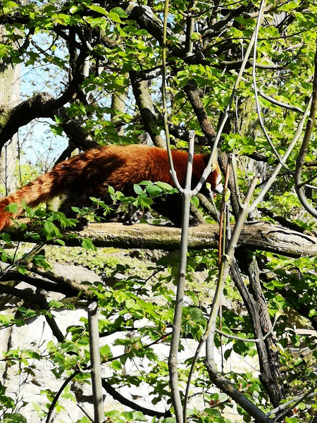 Ostersonntag