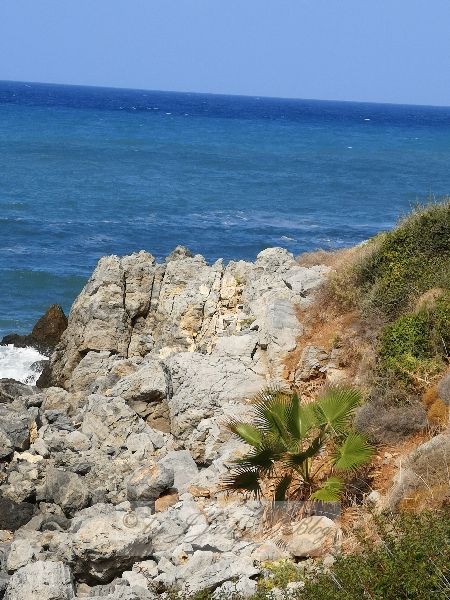 Kreta Coast
